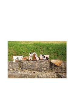 NICI, Plüschtier Pony Lorenzo 35cm Stehend -Klassischer Plüschtierladen nici plC3BCschtierponylorenzo35cmstehend 6 768 1024 75 7608719 6